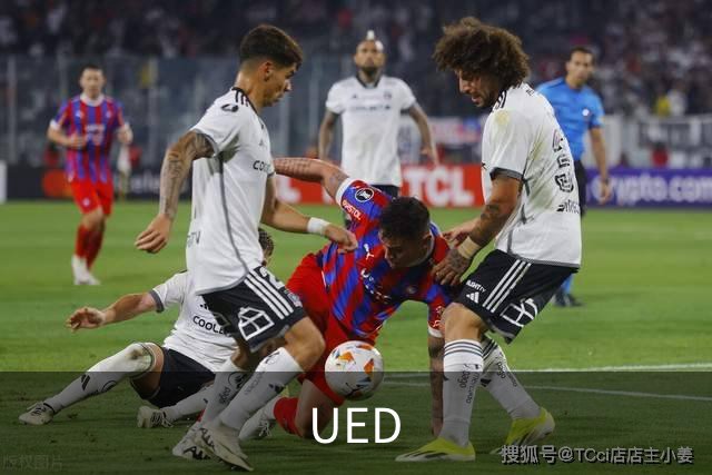 UED公司简介图片